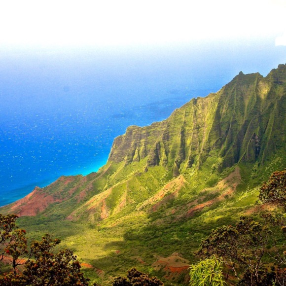 Meet your Posher, Alessandra - Picture 1 of 2